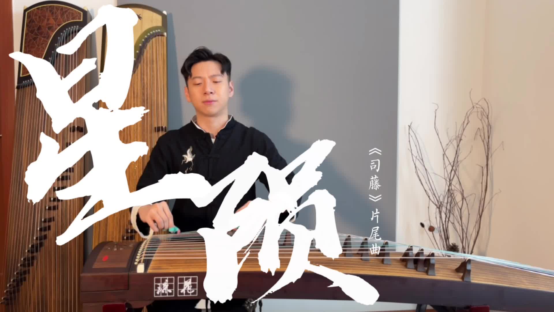 司藤片尾曲星陨凝望这星河灿烂歌颂着谁的勇敢